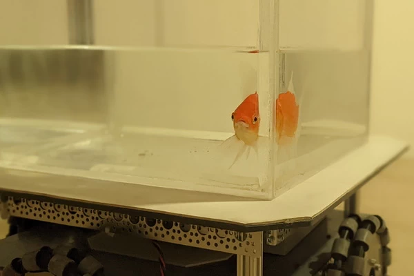 Fish driving robot
