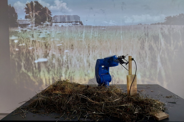 A Needle in a Haystack