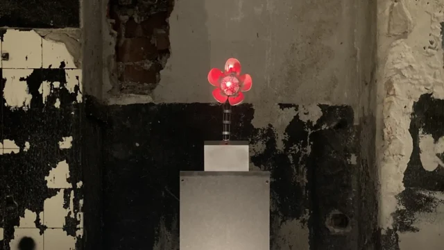 Netnature